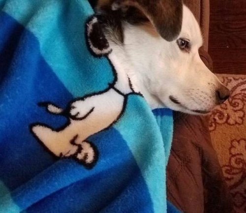 Прикольные сходства и совпадения Прикольные сходства и совпадения