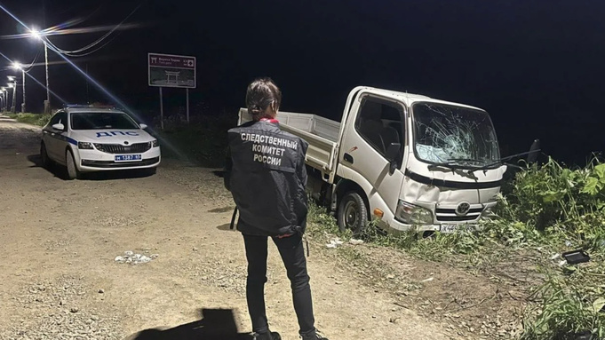 Пьяный водитель грузовика сбил четырех детей на Сахалине