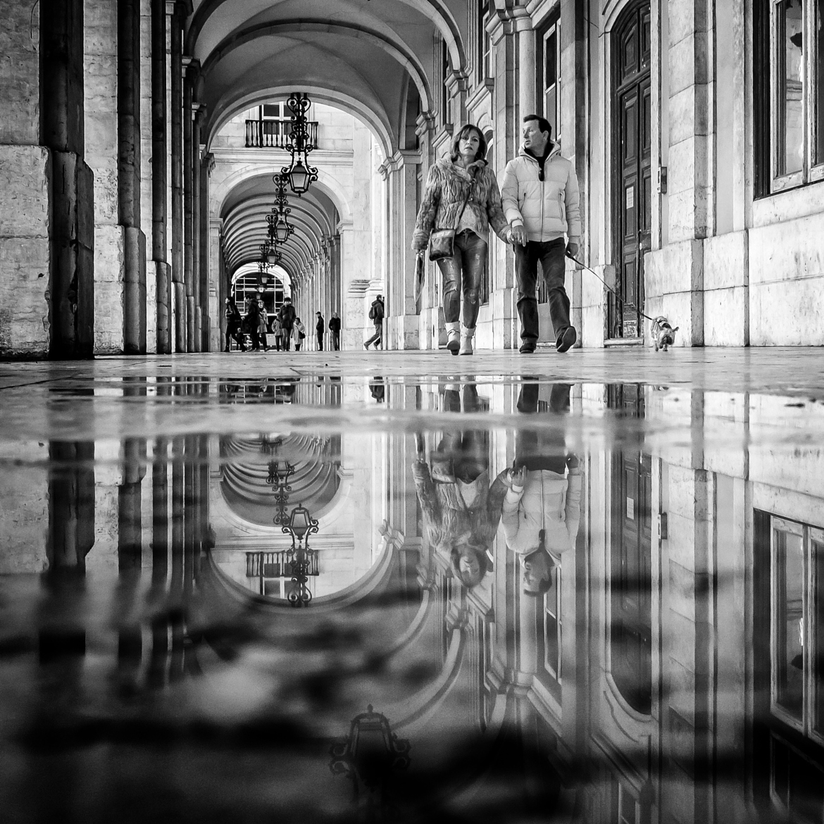 Фотография »« автор Daniel Antunes на 500px