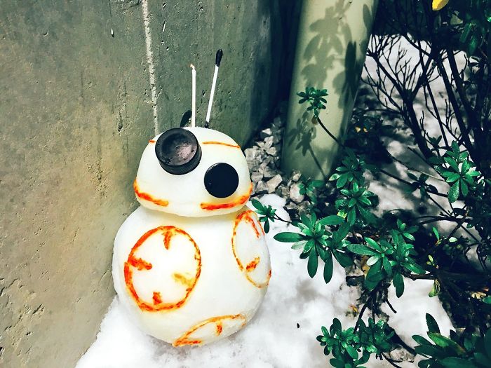 Heavy-Snow-Tokyo