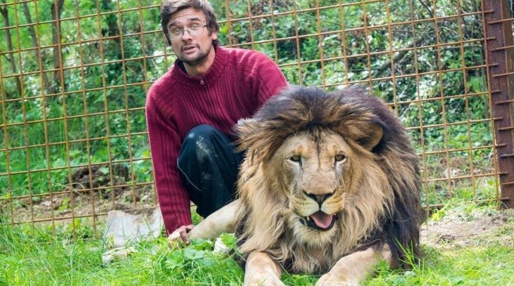 34-летнего мужчину в Чехии разорвал собственный лев 34-летнего мужчину в Чехии разорвал собственный лев