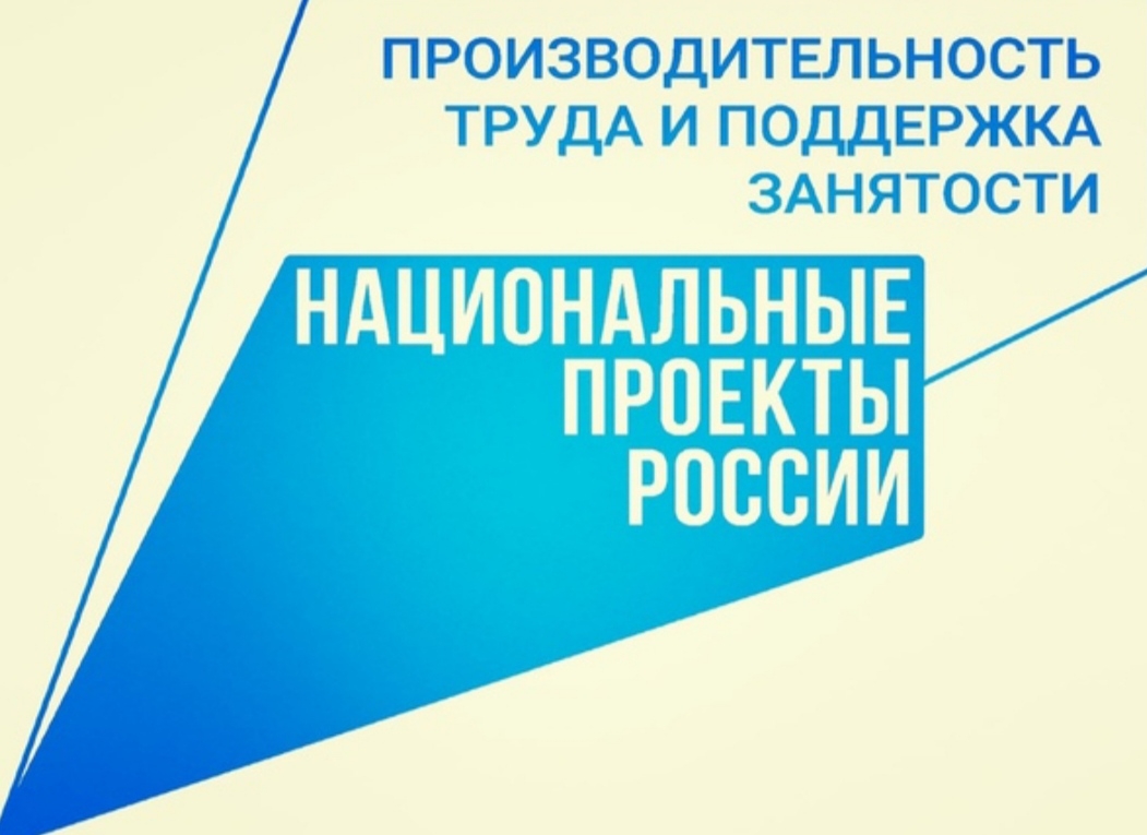 Национальный проект от 24 декабря 2018 года производительность труда и поддержка занятости