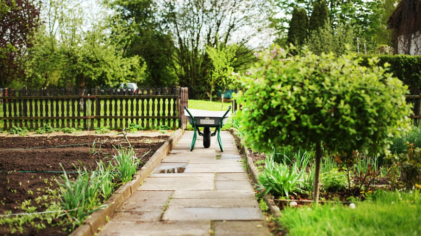 Жилые дома со встроенными огородами могут появиться в России через три года