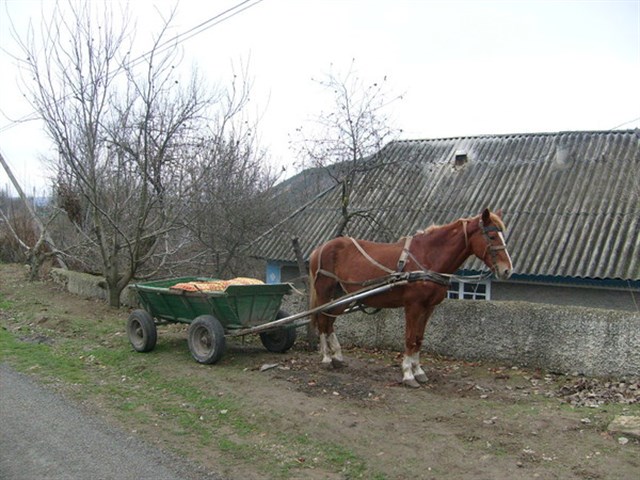 Приднестровье. Маленькая гордая страна Приднестровье. Маленькая гордая страна геополитика