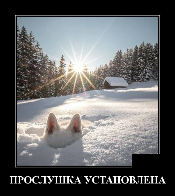 Очередная подборка прикольных и смешных демотиваторов 