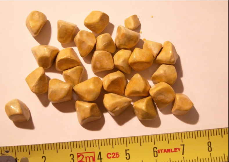 Камни в желчном, вот беда! Читаем рекомендации врача: все симптомы, что нам делать, как лечиться и что принимать, чтоб болезнь эту обуздать!