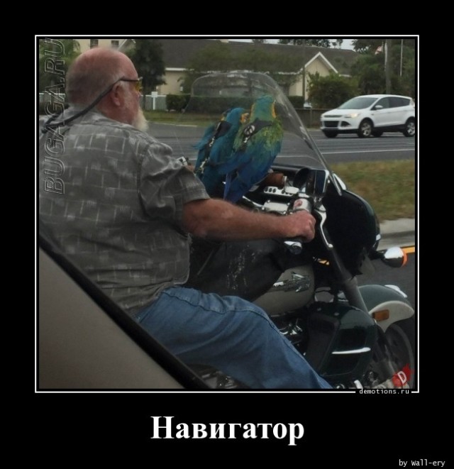 Демотиваторы дня: «Овощ, который знает ВСЁ!»  