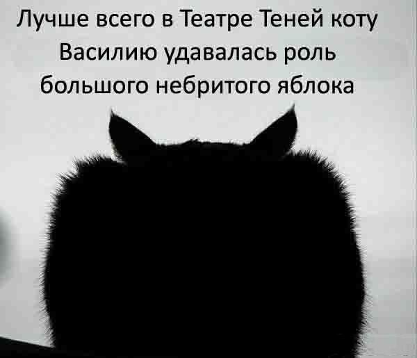 Картинки театр прикольные, днем рождения близнецам