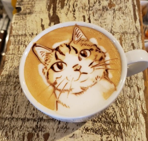 Потрясающие картины на кофе