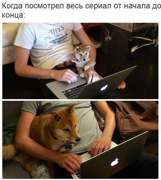 Картинки с надписями  