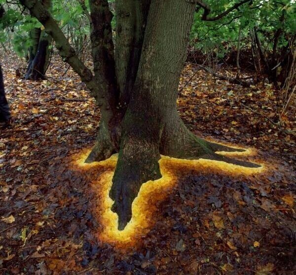 Фотография: 40 отборных картинок для того, чтобы немного отвлечься №11 - BigPicture.ru