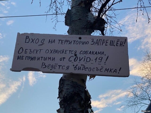 Возможно, это изображение (на открытом воздухе и дерево)