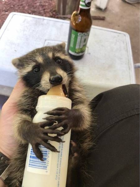 Подборка прикольных фото  (106 фото)