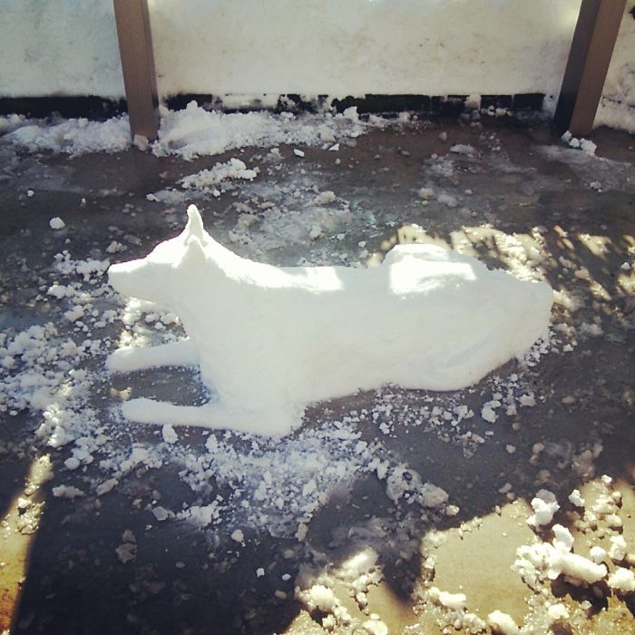 Heavy Snow Tokyo