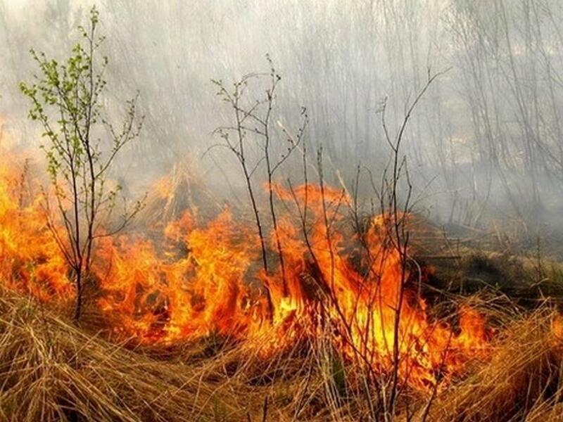В МЧС назвали районы-лидеры по пожарам в Забайкалье