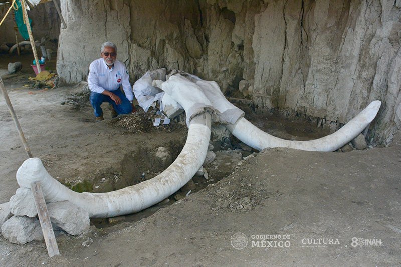 Археологи нашли в Мексике первую в мире  доисторическую охотничью  