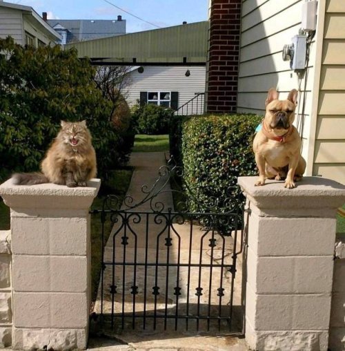 Сборник прикольных картинок 