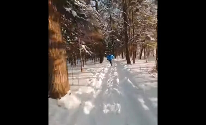 Оператор дрона снимал на видео зимний лес и случайно встретил туриста, которого преследовал медведь. Видео дрона, зимний, преследующий, двигается, сквозь, величественные, заснеженные, деревья, когда, кадре, оказываются, незадачливый, турист, Оператор, пейзаж, видео, сцена, выглядит, захватывающеhttpwwwyoutubecomwatchvtzZxP2MTEПоявление, весьма