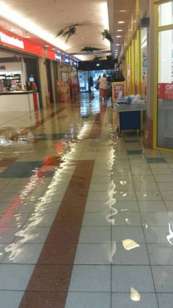 Свежие картинки и фото приколы для настроения Свежие картинки и фото приколы для настроения