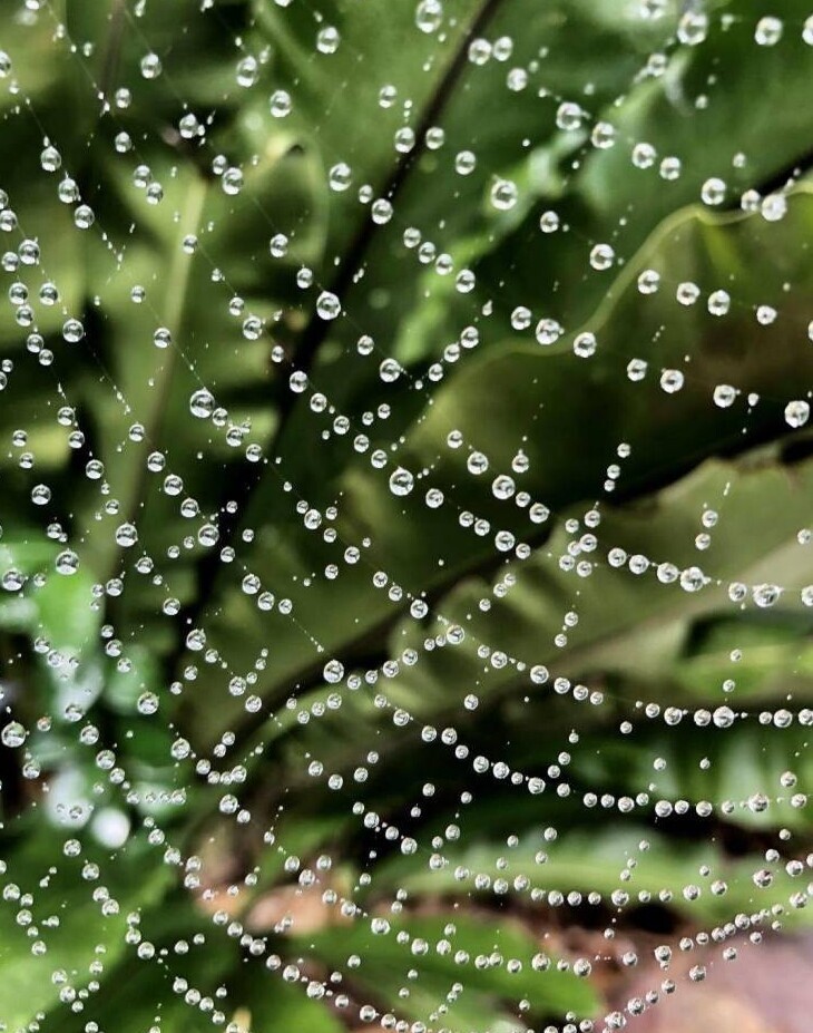 Фотография: 40 отборных картинок для того, чтобы немного отвлечься №32 - BigPicture.ru