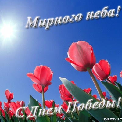 Открытки, открытки мирного неба над головой 9 мая