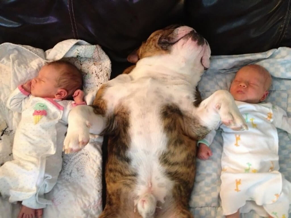 Фото © Imgur/TheRealR0b3rt