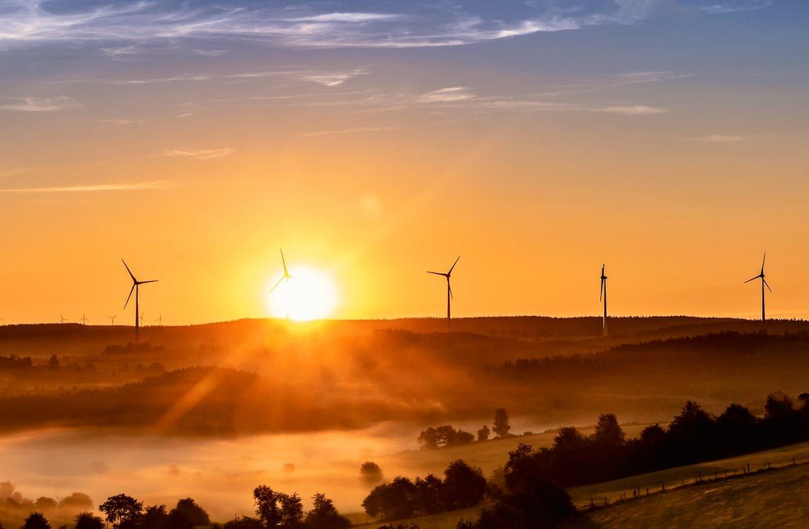Шольц подтвердил курс ФРГ на возобновляемые источники энергии Экономика
