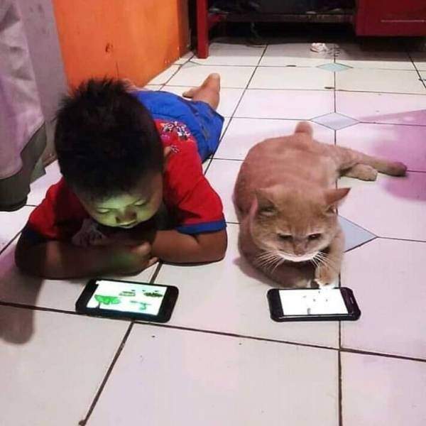 Если от вас ушла жена к соседу, не отчаивайтесь: теперь вы — сосед! Если от вас ушла жена к соседу, не отчаивайтесь: теперь вы — сосед! анекдоты,веселые картинки,приколы,юмор