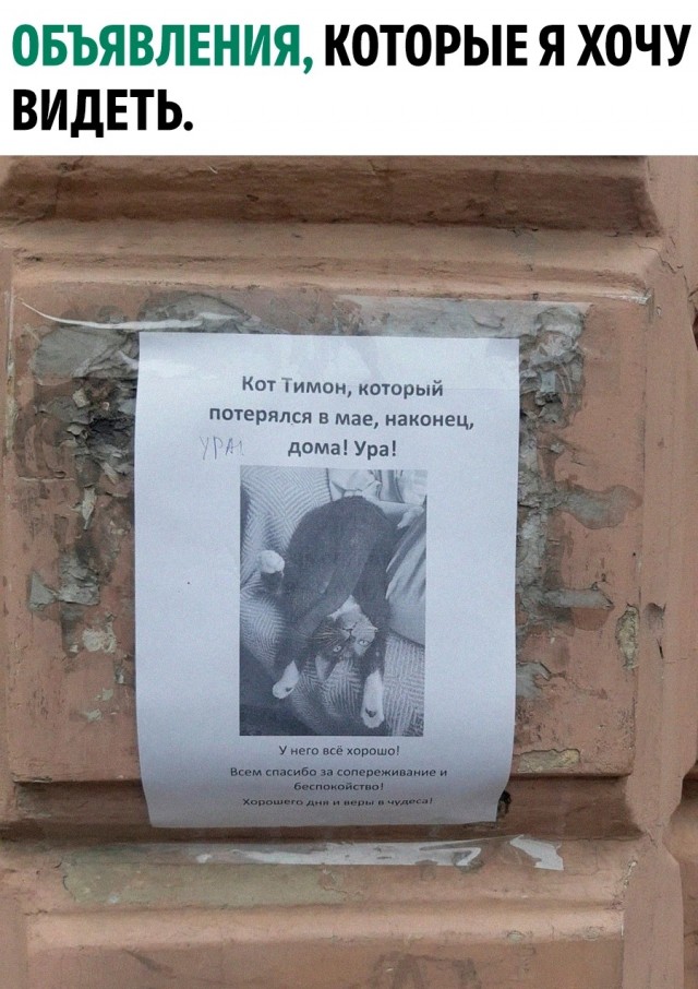 Юмор за день и свеча 