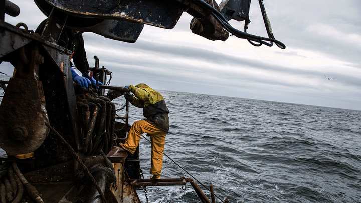 Почему выжили двое: Загадка гибели "Онеги"