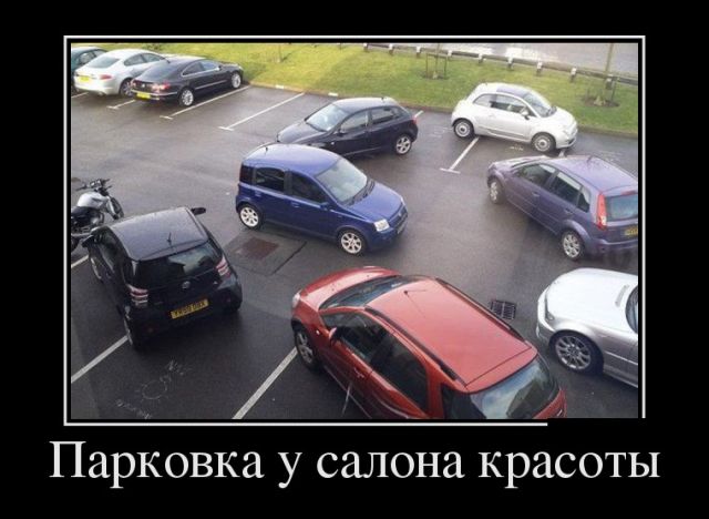 Свежие и позитивные демотиваторы для веселья (11 фото)