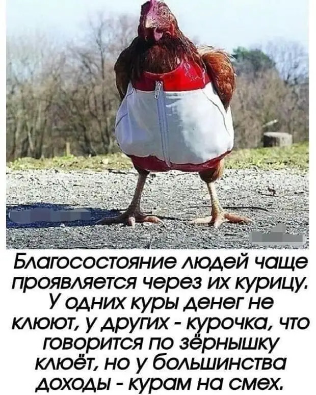 предлагаю всем, кто считает, что деньги портят людей, отдать их мне. Ребята, я готова нести за вас этот тяжкий крест предлагаю всем, кто считает, что деньги портят людей, отдать их мне. Ребята, я готова нести за вас этот тяжкий крест слово, спрашивает, когда, словаре, возвращается, только, глаза, звонок, Эцново, просто, предложение, которого, хочет, кинотеатре, Ведущий, Здраствуйте, буквам, Такого, убедился, слова