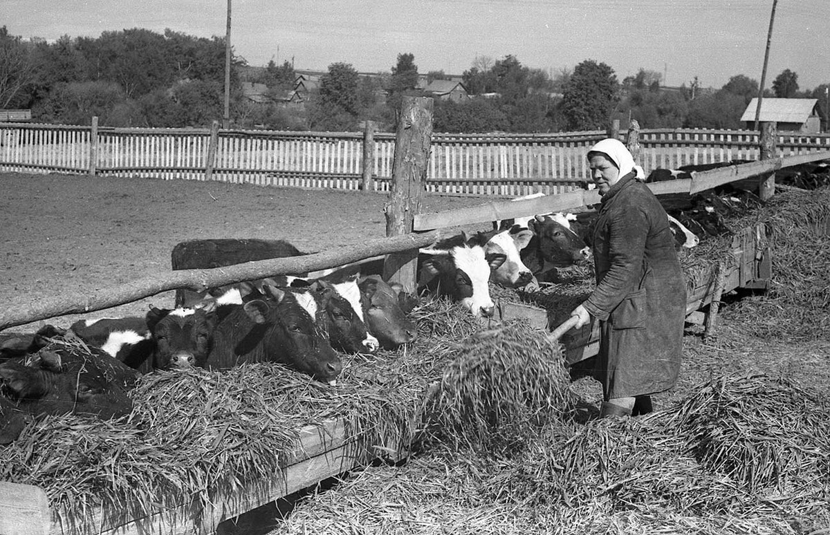 «Люди земли». Белорусский фотограф Валерий Бысов 19