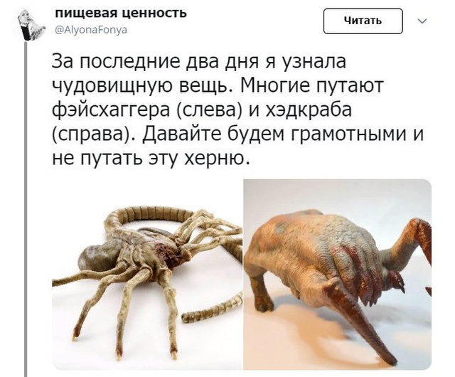 Подборка смешных картинок смешные картинки