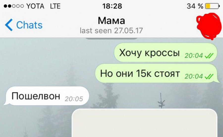 Прикольные картинки на чат