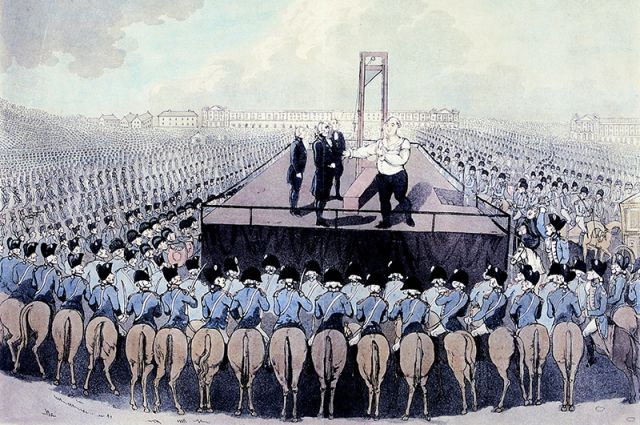     XVI.