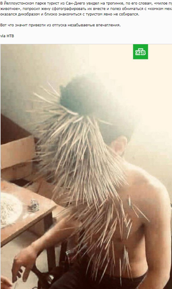 Ужасы природы, с которыми мало кто пожелал бы встретиться Ужасы природы, с которыми мало кто пожелал бы встретиться планета,природа