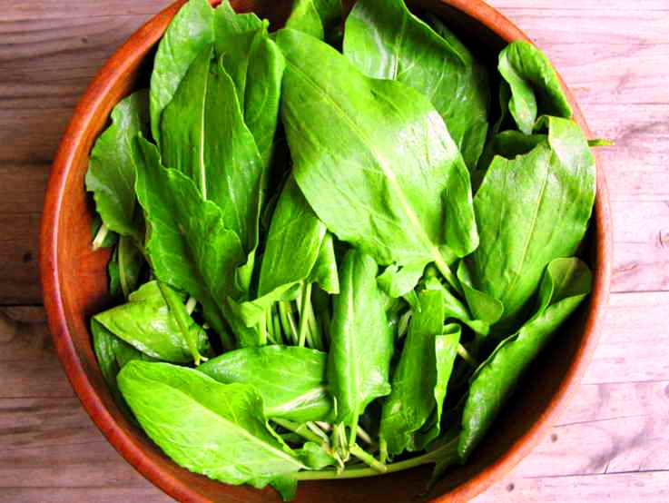 Фибромы, миомы и щитовидка: 10 рецептов лечения от знахаря