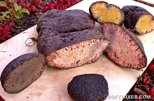 Древесный хлеб, лягушачьи лапки и другие блюда, придуманные не от хорошей жизни Древесный хлеб, лягушачьи лапки и другие блюда, придуманные не от хорошей жизни