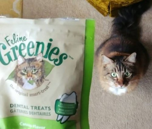 Прикольные сходства и совпадения Прикольные сходства и совпадения