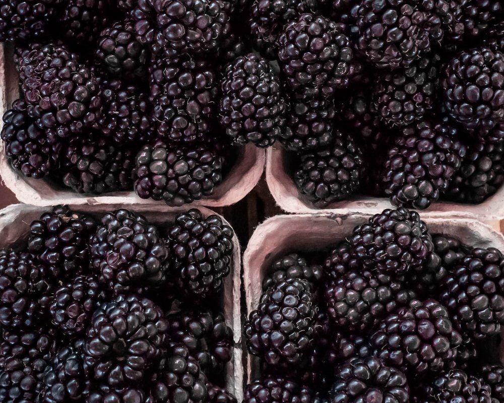 Диетологи объяснили, почему нужно регулярно есть ежевику