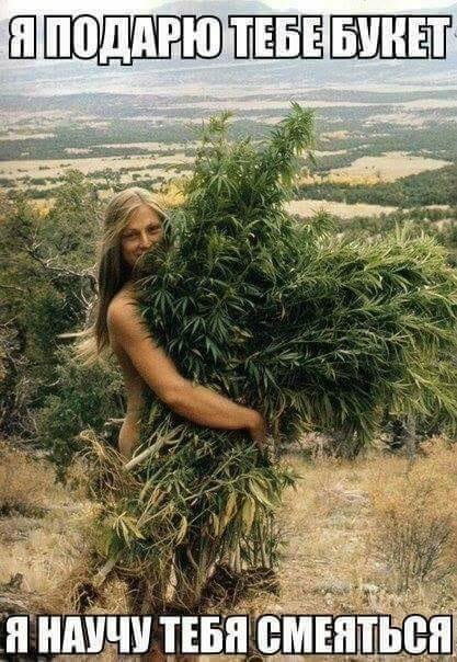 Подборка позитивных картинок и смешных фото с надписями из сети Подборка позитивных картинок и смешных фото с надписями из сети