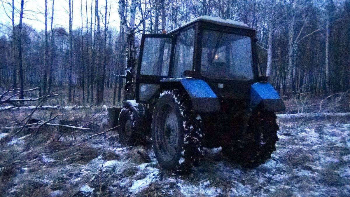 Сибиряка оштрафовали на полмиллиона рублей за вырубку леса