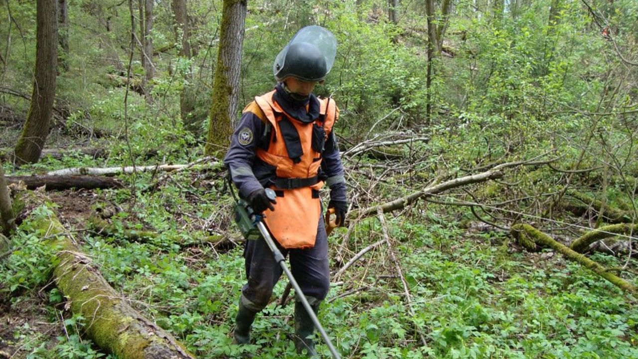 В Югре удалось ликвидировать все лесные пожары