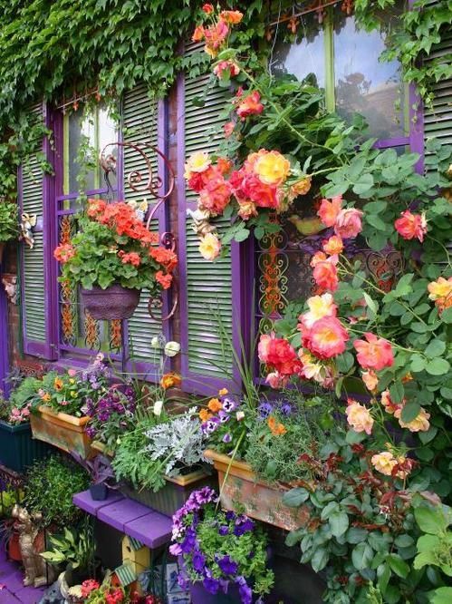 Gorgeous colour!: 