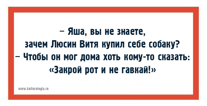 17 одесских шуток, которые гарантировано поднимут настроение 17 одесских шуток, которые гарантировано поднимут настроение