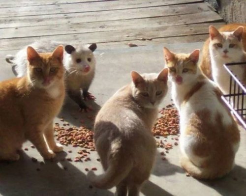 30 фотографий, на которых что-то не так 30 фотографий, на которых что-то не так смешные картинки