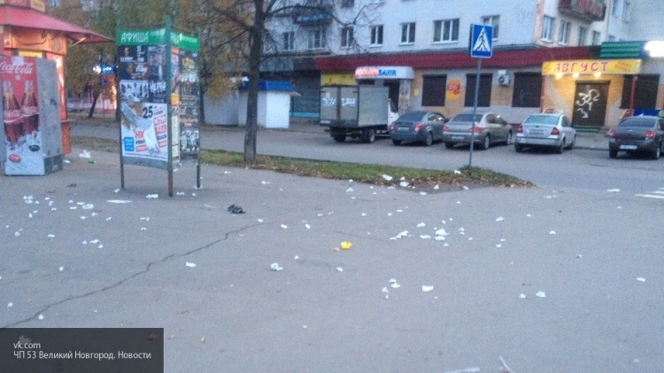 Диалог новгород. Фото мусорки Великий Новгород на Конюшенной. Великий Новгород диалог мусорка на ногах. Покажи мне мусорку на улице Ломоносова 19/19 в Великом Новгороде.