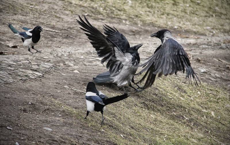 Враг, который давно живёт рядом россия