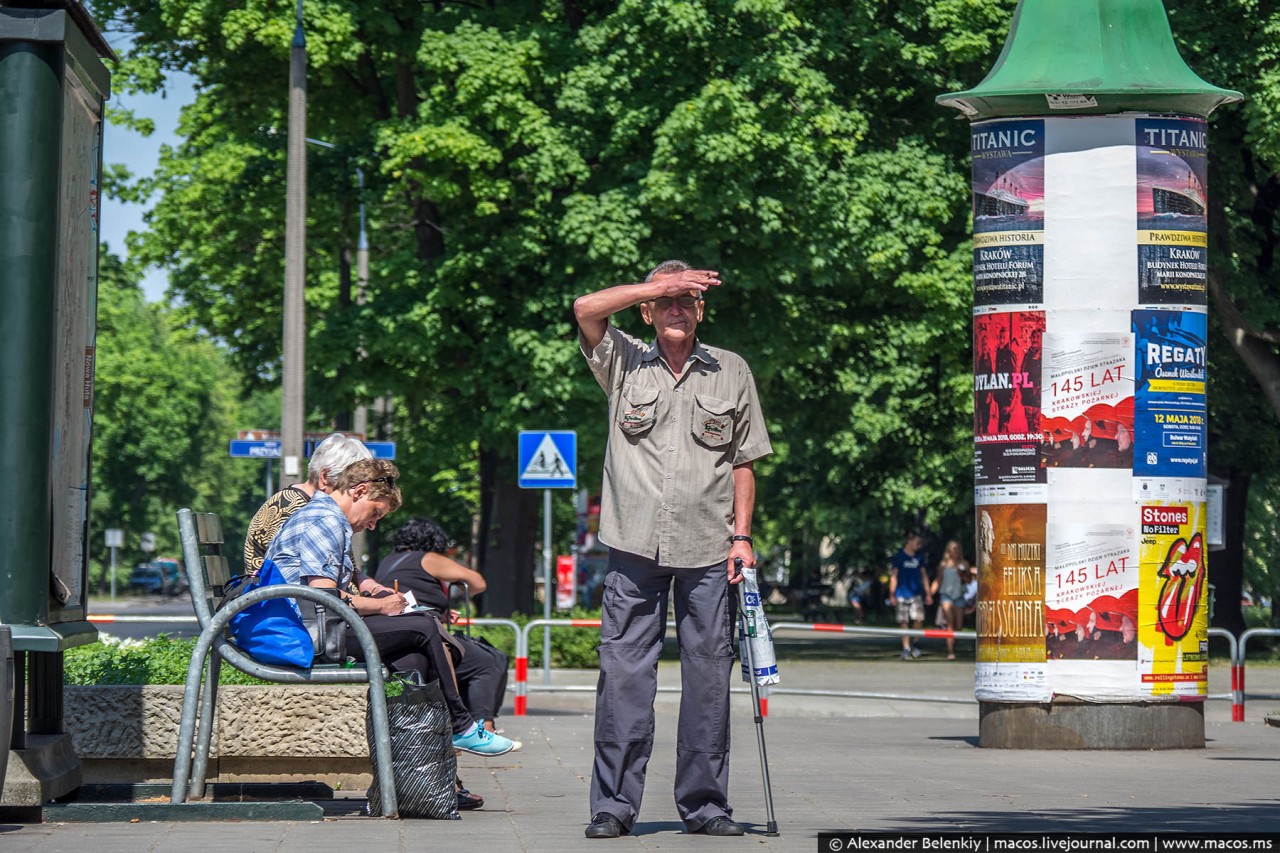 'Нова 'Нова